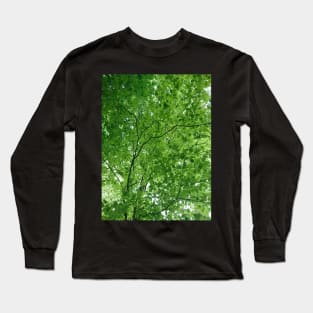 Light through green leaves Long Sleeve T-Shirt